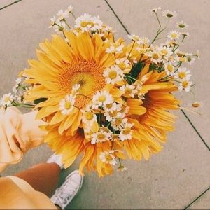 Meet your Posher, Alyssa